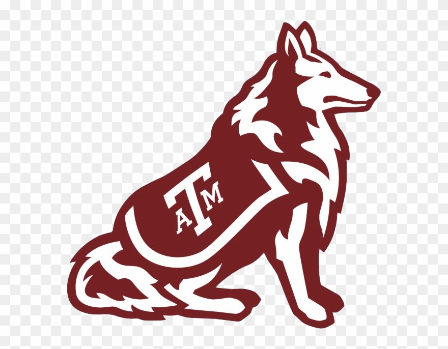 Or Miss Rev, As She's Known On Campus - Texas A&m Mascot Transparent Clipart