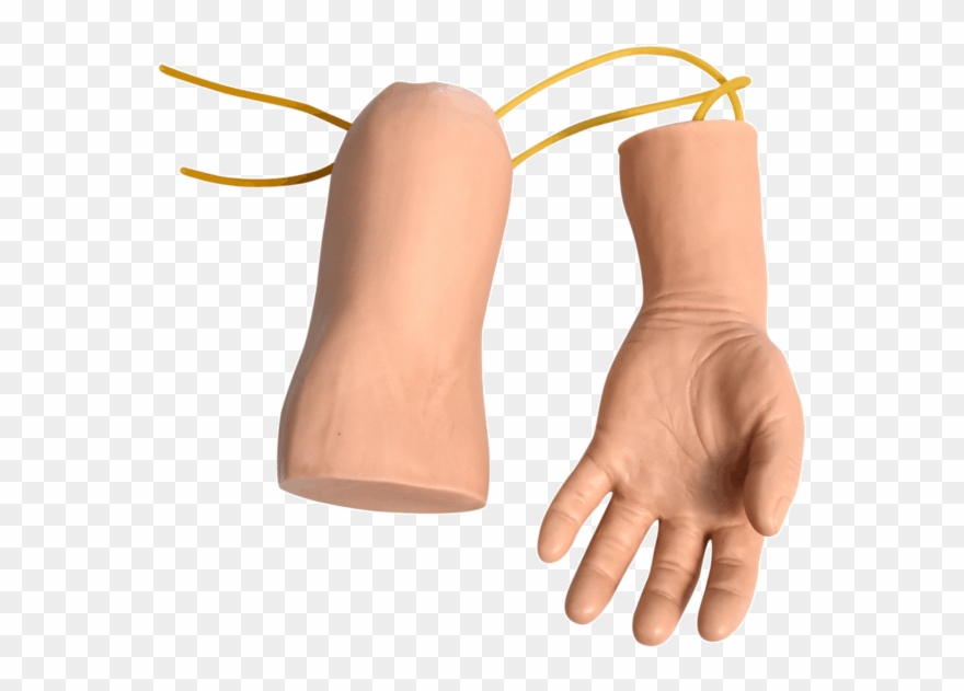 Hand And Elbow Combined Intravenous Transfusion Training - Wood Clipart