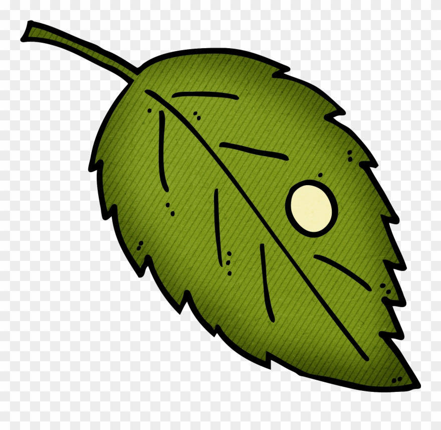 Insect Egg Clipart