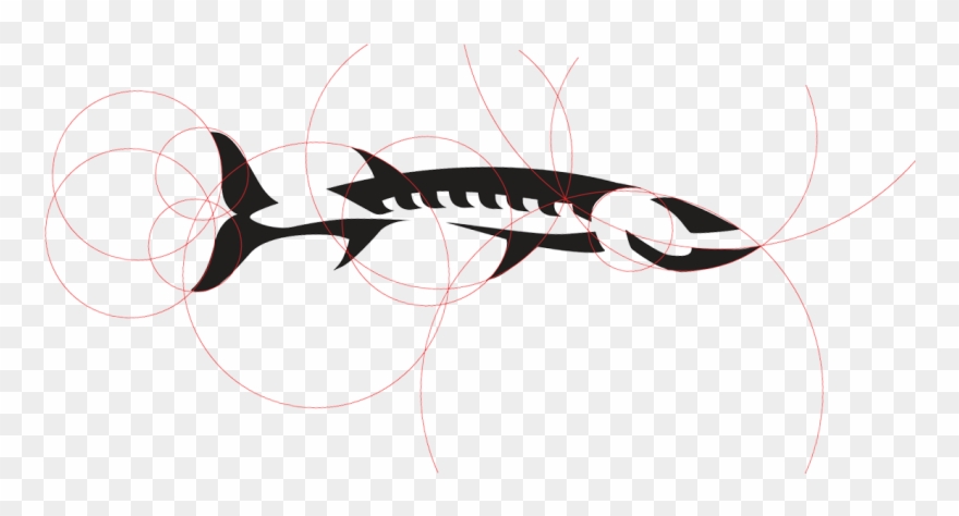 Barracuda Fish Logo - Logo Clipart