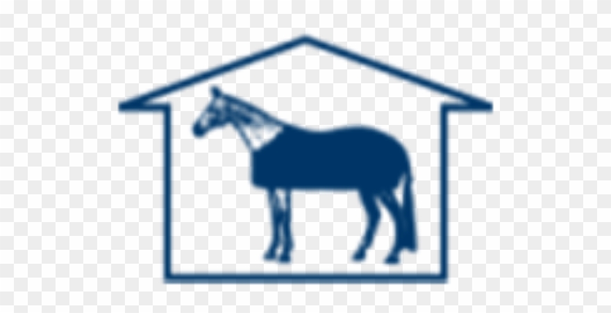 Four Seasons Horse Show - Horse Clipart