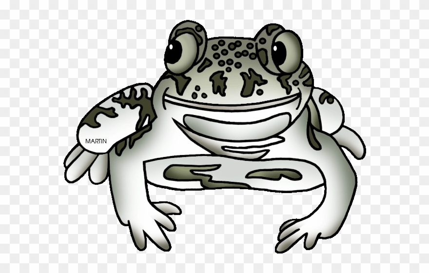 New Mexico State Amphibian Spadefoot Toad - American Spadefoot Toads Clipart
