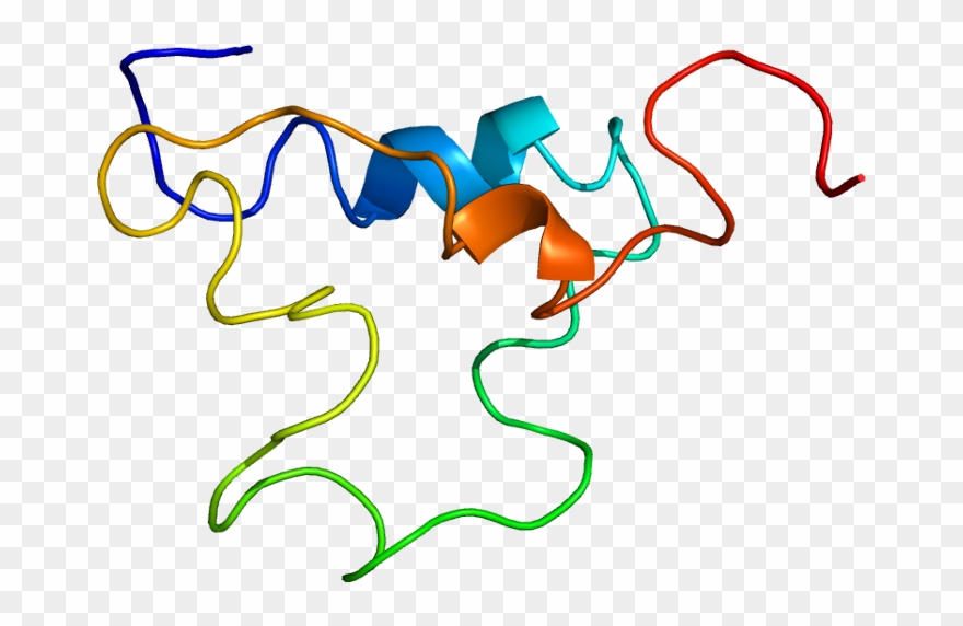 Protein Igf1 Pdb 1bqt - Igf 1 Clipart