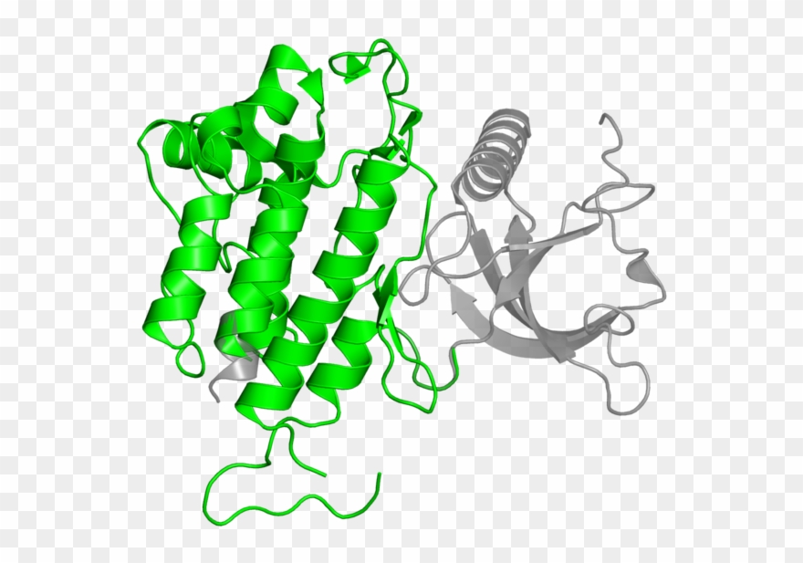 <div Class='caption-body'>1 Copy Of Cath Domain < - Fibroblast Growth Factor Receptor 3 Clipart