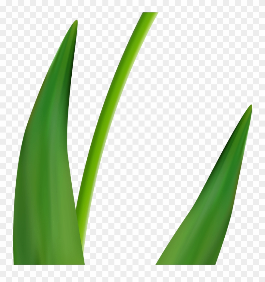 Free Flower Clip Art Tulips Clipart & Vector Design - Flower - Png Download