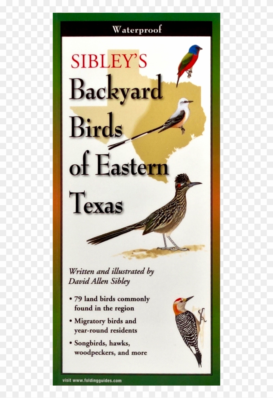 Shopping Cart -  -  Clipart