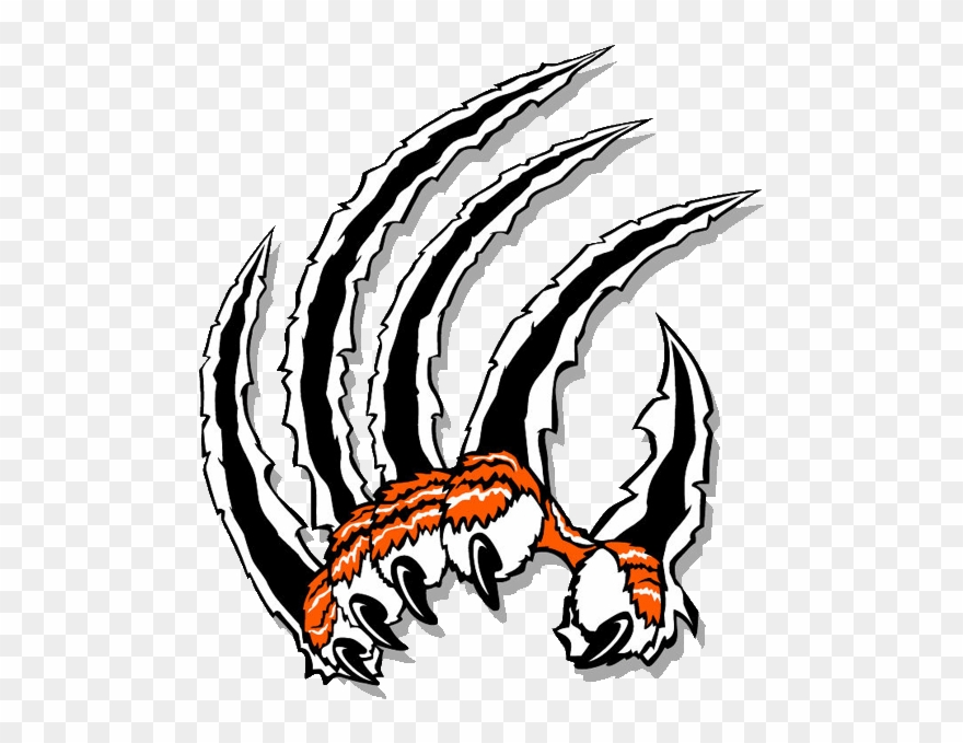 Claw Clip Art - Tiger Claw Clipart - Png Download