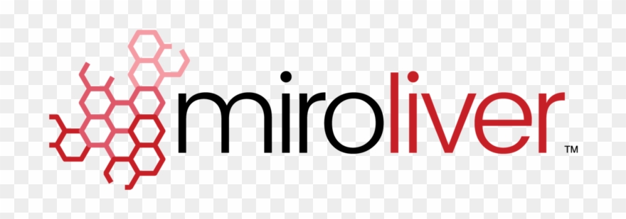 Miromatrix Has Been Working In Collaboration With The Clipart