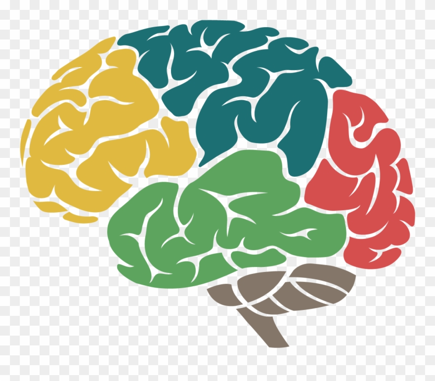 Life At Real Nation - Stroke Certification Study Guide For Nurses: Q&a Clipart