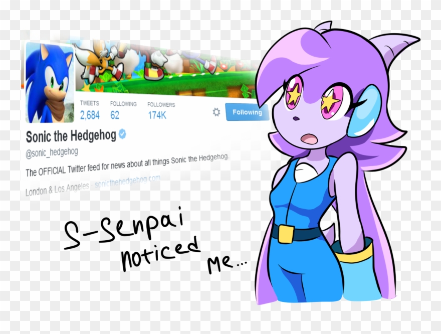 Tweets Following Followers 2,684 62 174k Following - Sash Lilac X Sonic Clipart