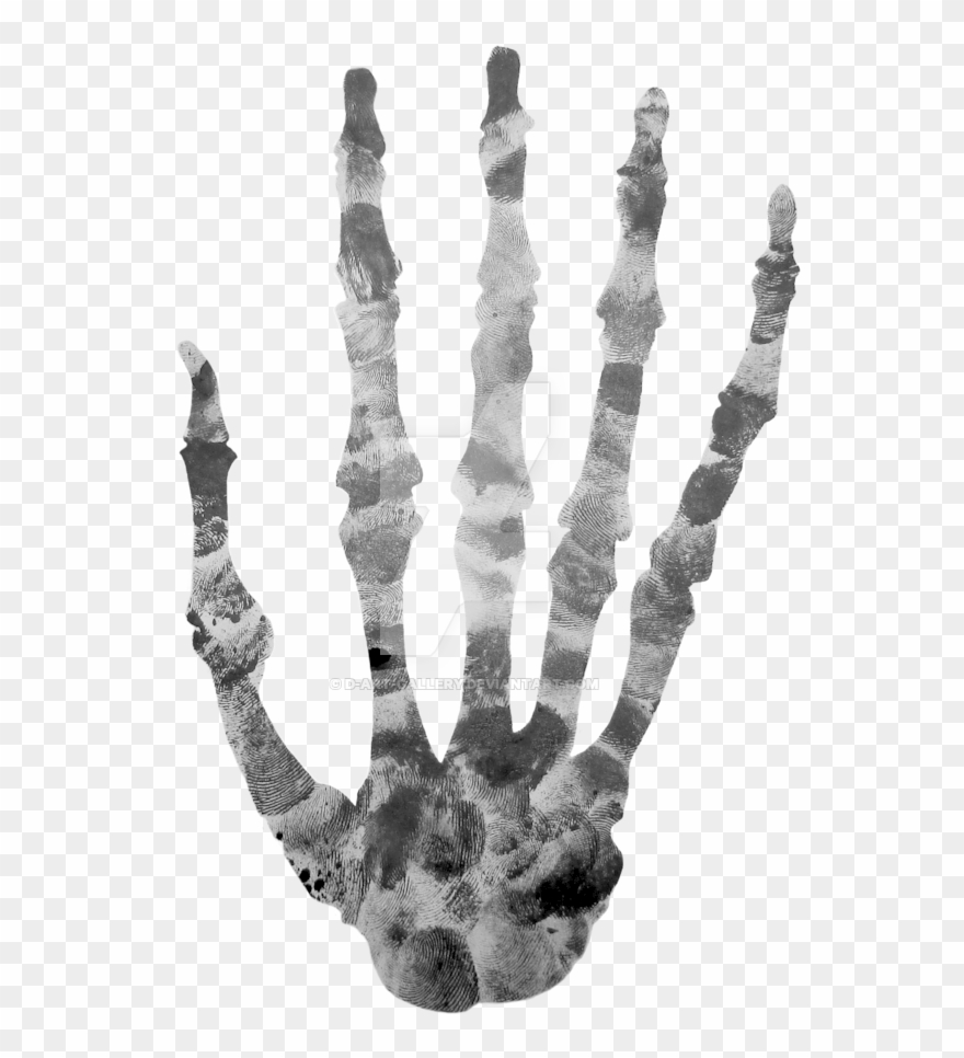 Finger Printed Skeleton By - Hand Skeleton Png Clipart