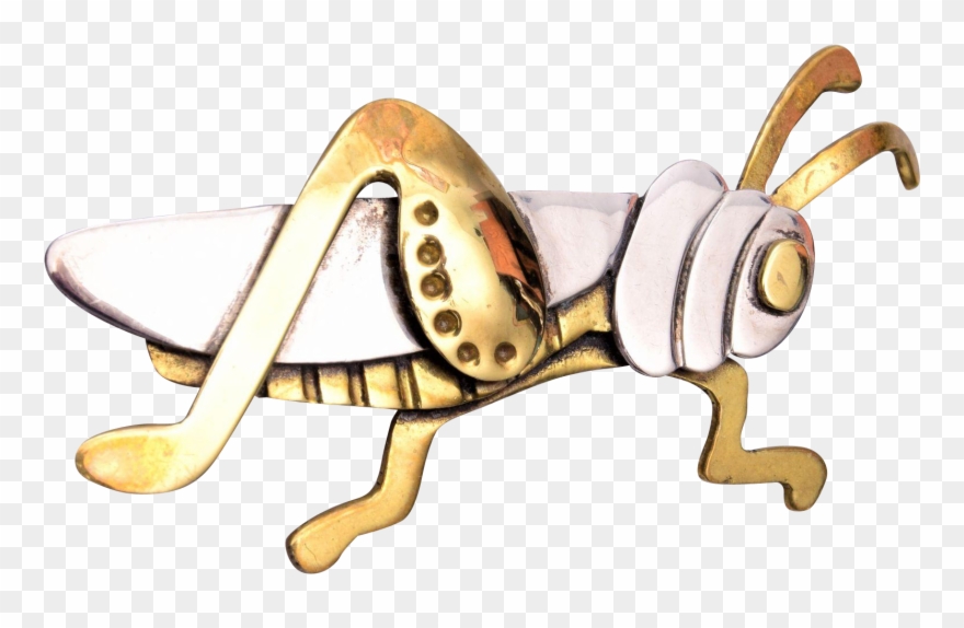 Banner Free Stock Far Fetched Brooch Brooches Years - Clip Art - Png Download