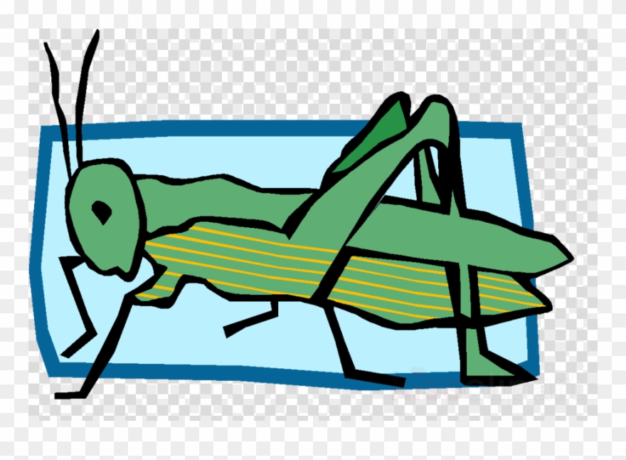 Energy Clipart Food Chain Insect Clip Art - Gra Gre Gri Gro Gru - Png Download