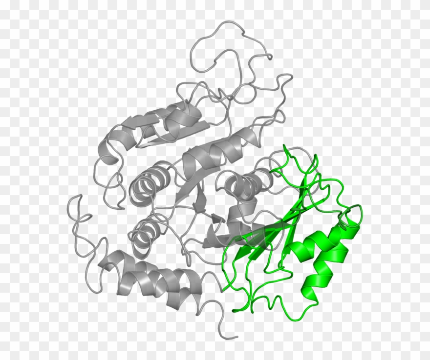 <div Class='caption-body'>1 Copy Of Cath Domain Clipart