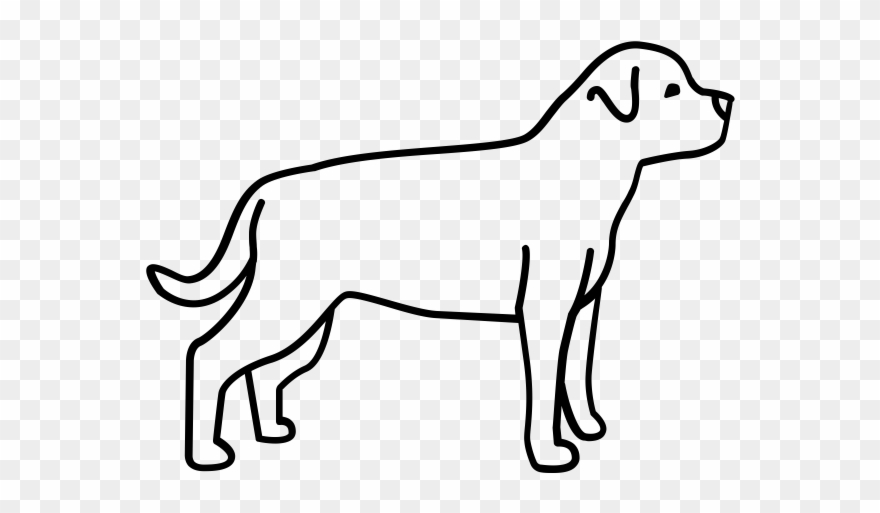 Rottweiler Rubber Stamp - Un Perro Sabueso Para Dibujar Clipart