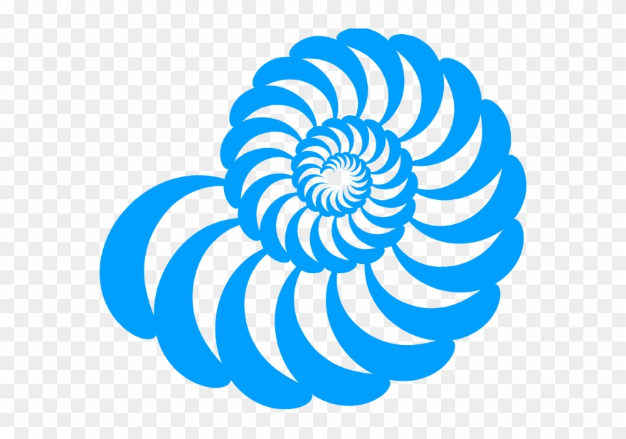 One Of The Most Fascinating Things With Our Breathing, - Spiral Clipart