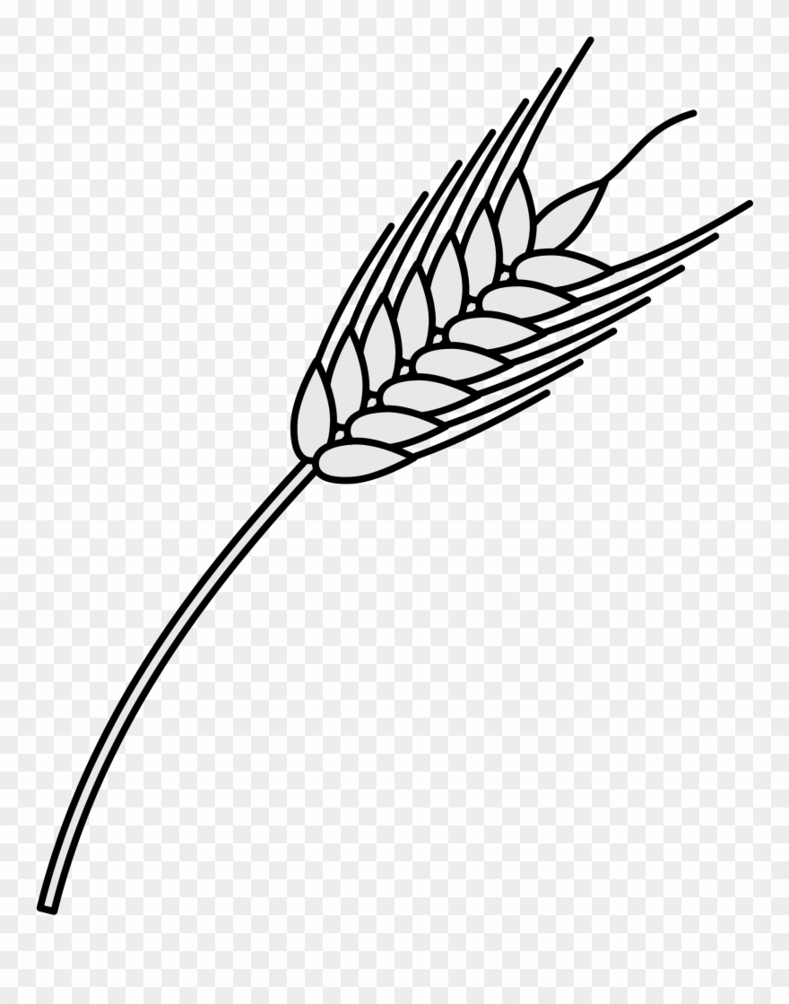 File Coa Illustration Elements Plant Svg Wikimedia - Wheat Heraldry Png Clipart