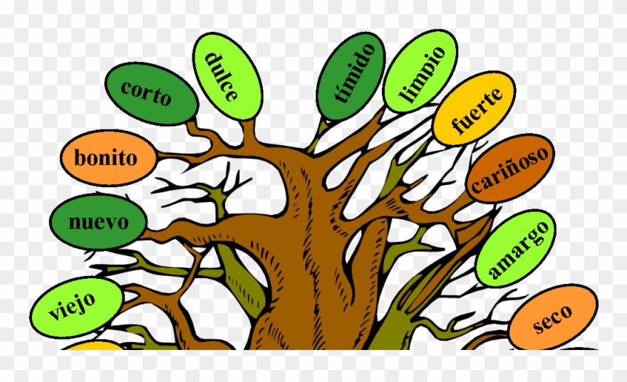 Music And Spanish Fun Tree Of Adjectives - Adjetivos De Arbol Clipart