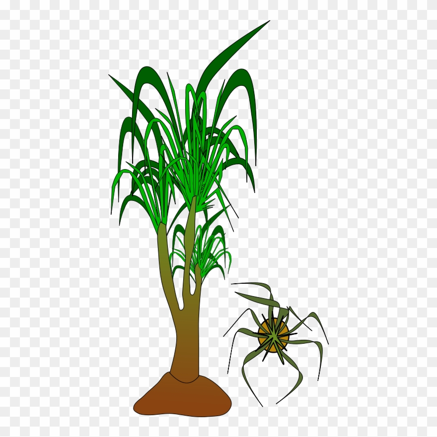 Get Notified Of Exclusive Freebies Clipart