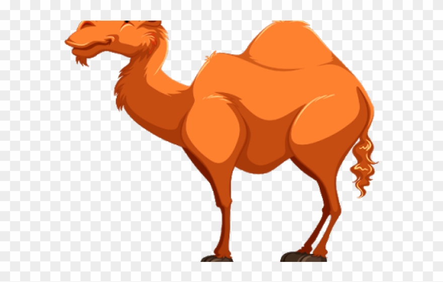 Camels Clipart Gambar - Cartoon Images Of Camel - Png Download