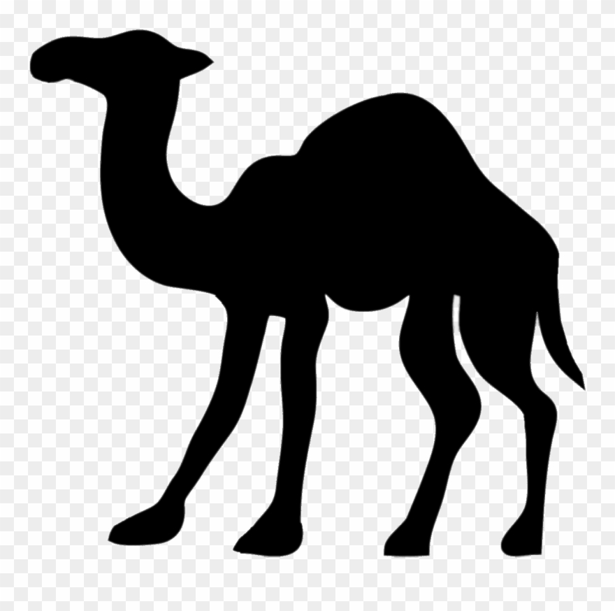 Camel - Camel Stencil Clipart