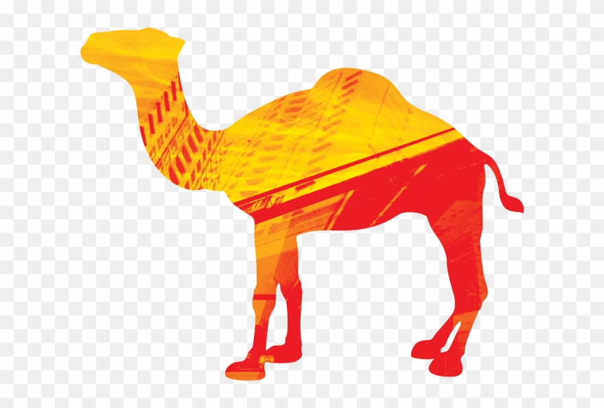 Camel Clipart