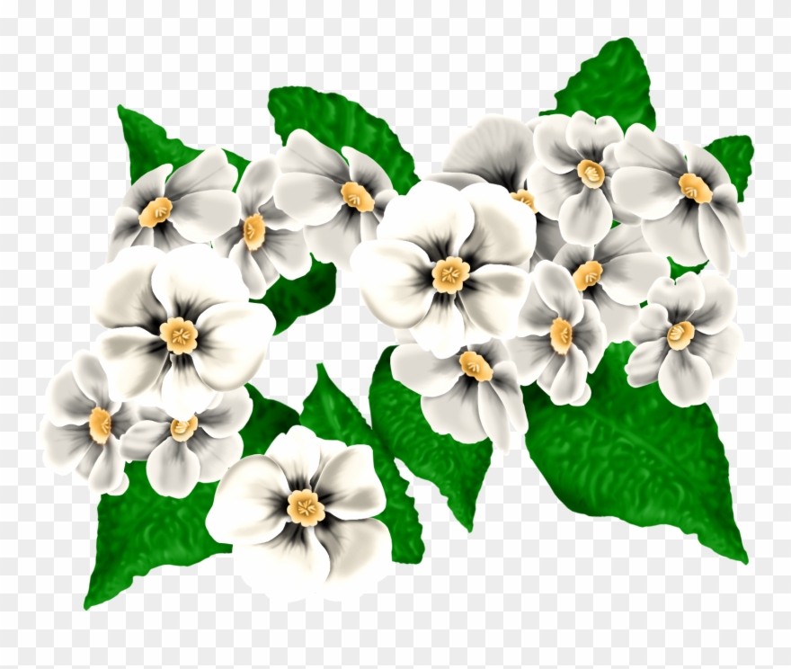 0 134569 A04db3df Orig - Viola Clipart