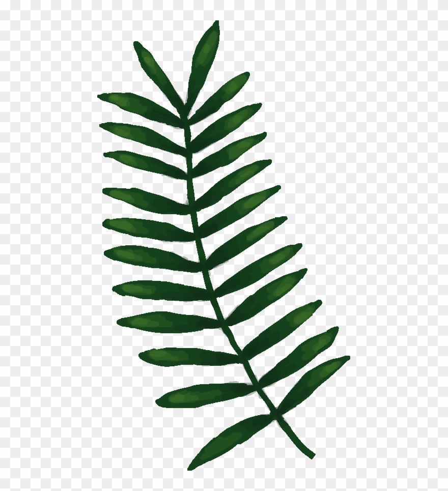 The Bean Basket - Sorbus Clipart
