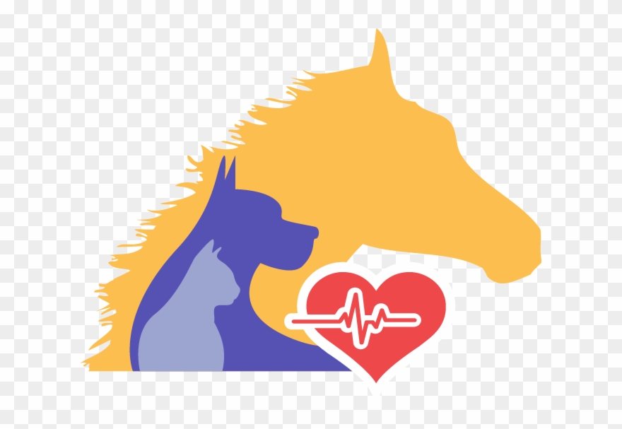 24 Hour Emergency Vet Open Public Holidays Contact - Baldivis Vet Hospital Clipart