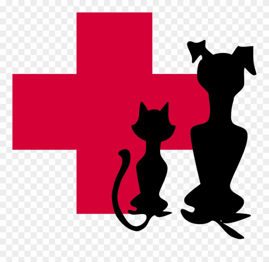 Veterinarian Clipart - Transparent Dog And Cat Silhouette - Png Download