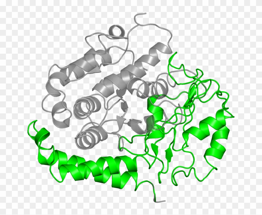 <div Class='caption-body'>1 Copy Of Scop Domain < - Illustration Clipart