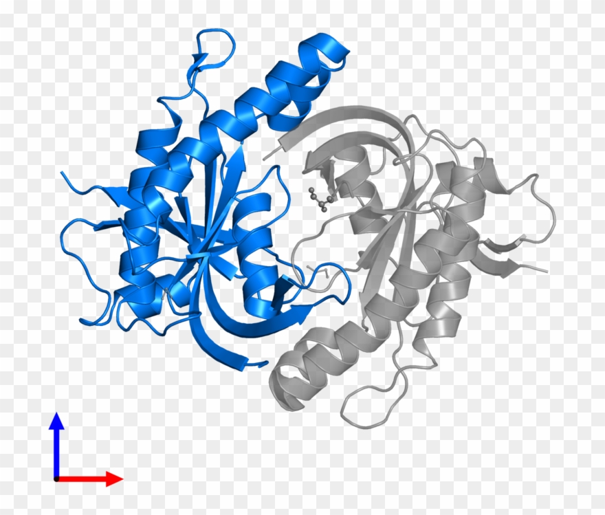 <div Class='caption-body'>pdb Entry 3uvj Contains 1 - Graphic Design Clipart