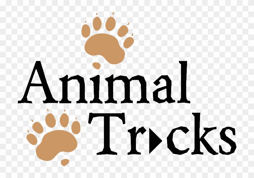 Take A Stroll With Wildlife Experts Join Pioneers As Clipart