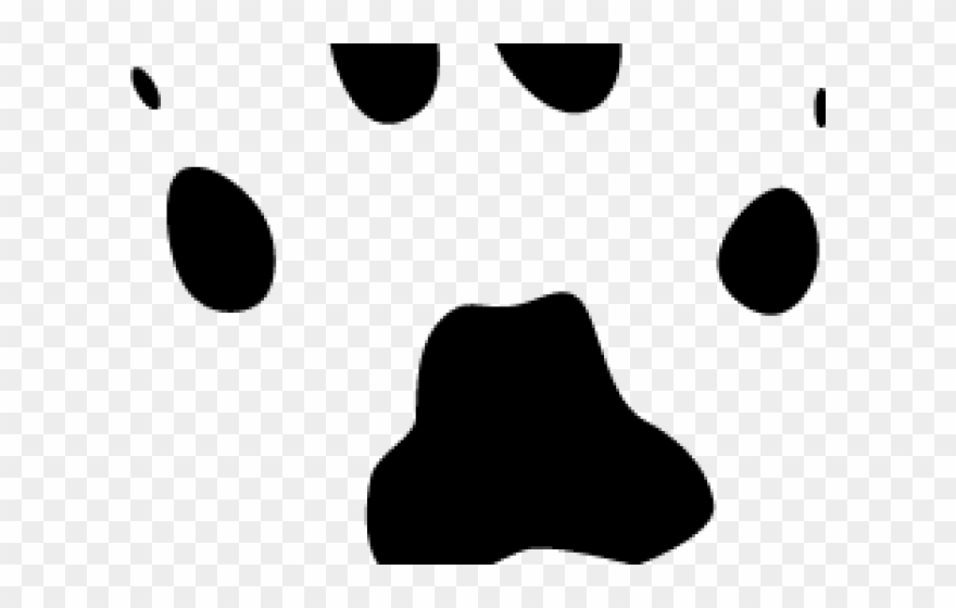 Footprints Clipart Squirrel - Png Download