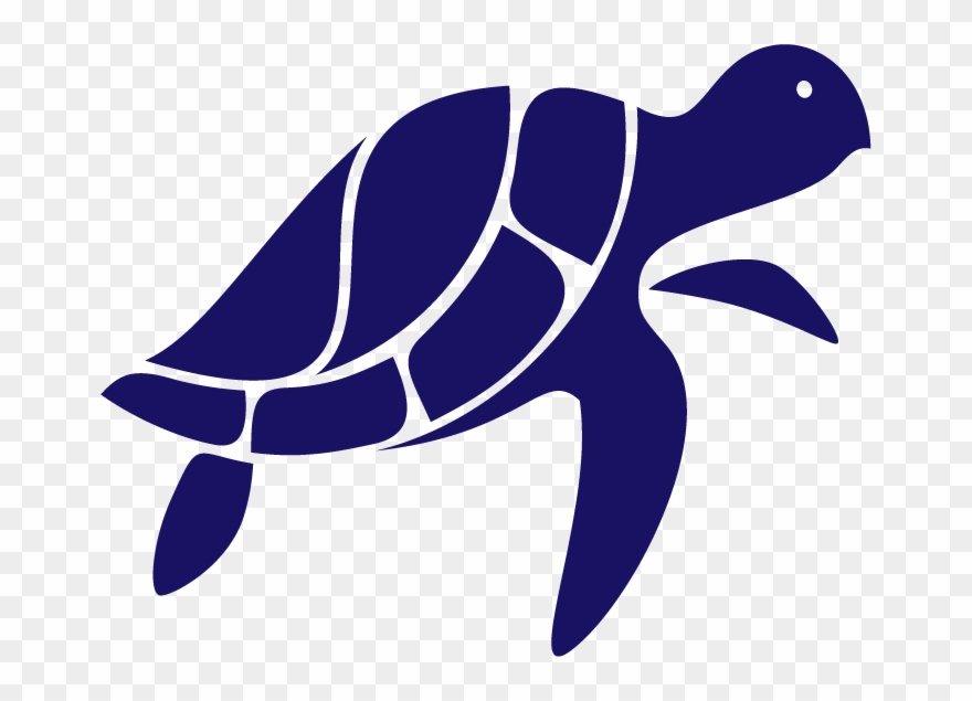 Awkward Turtle Travels - Drinking Straw Clipart