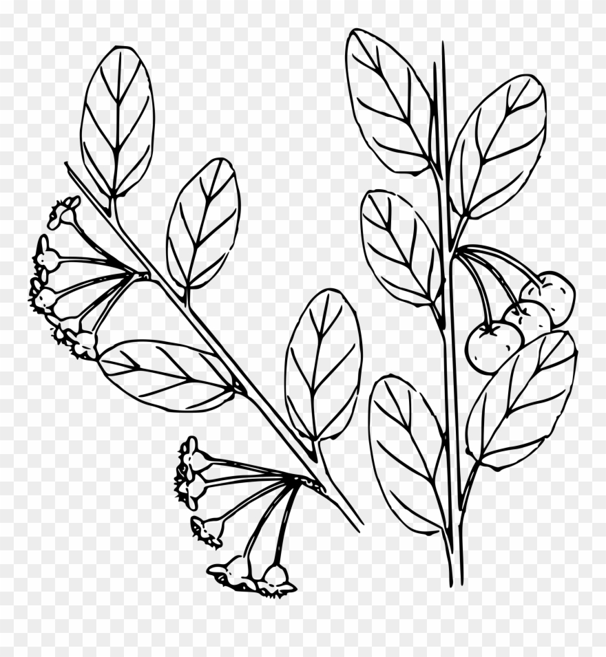 Big Image - Coloring Page Clipart