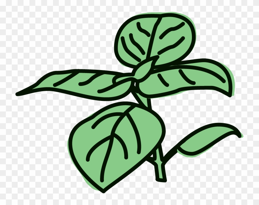 Lemon Basil Sorbet Clipart