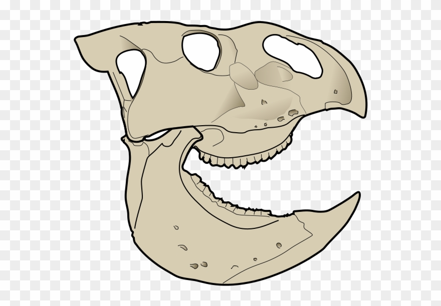 File - Udanoceratops Skull - Svg - Udanoceratops Skull Clipart