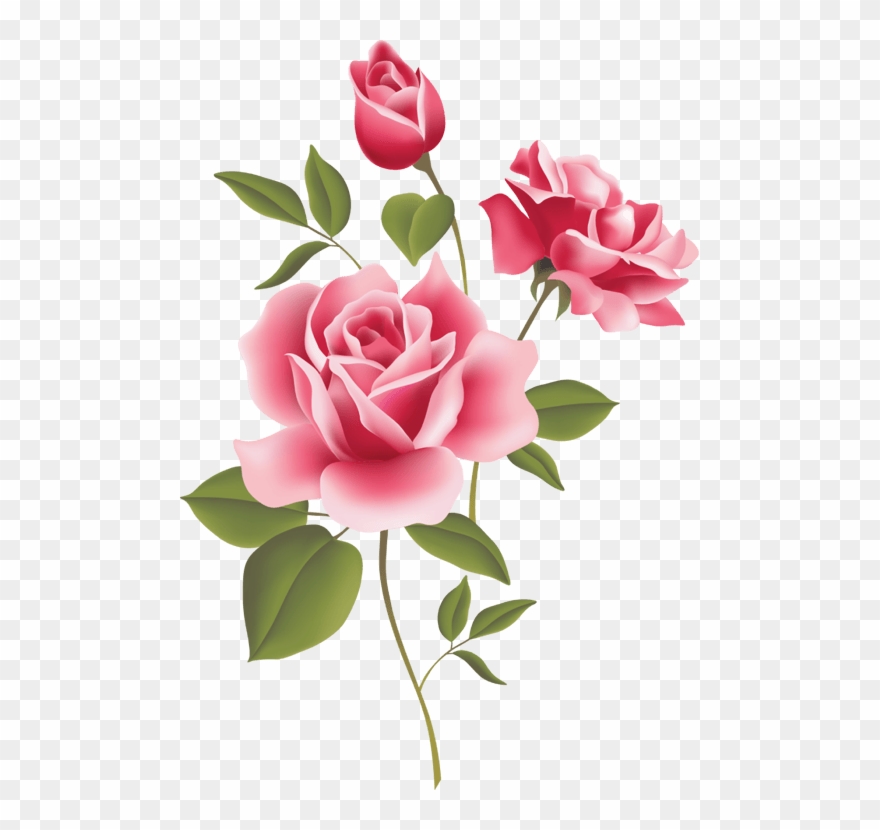 3d Rose Live Clipart Download - Transparent Pink Roses Border - Png Download