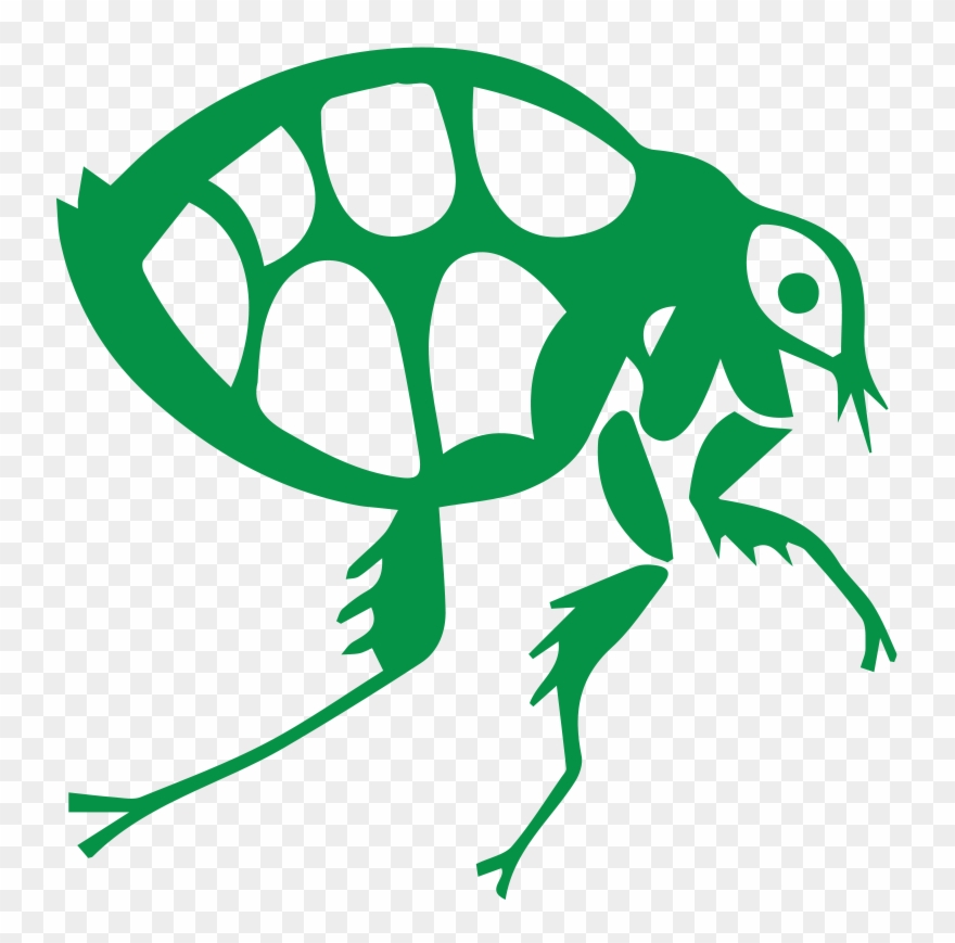 Flea Clipart