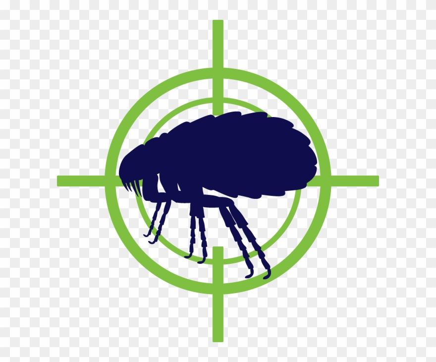 Flea Tick Control In Edmond Clipart