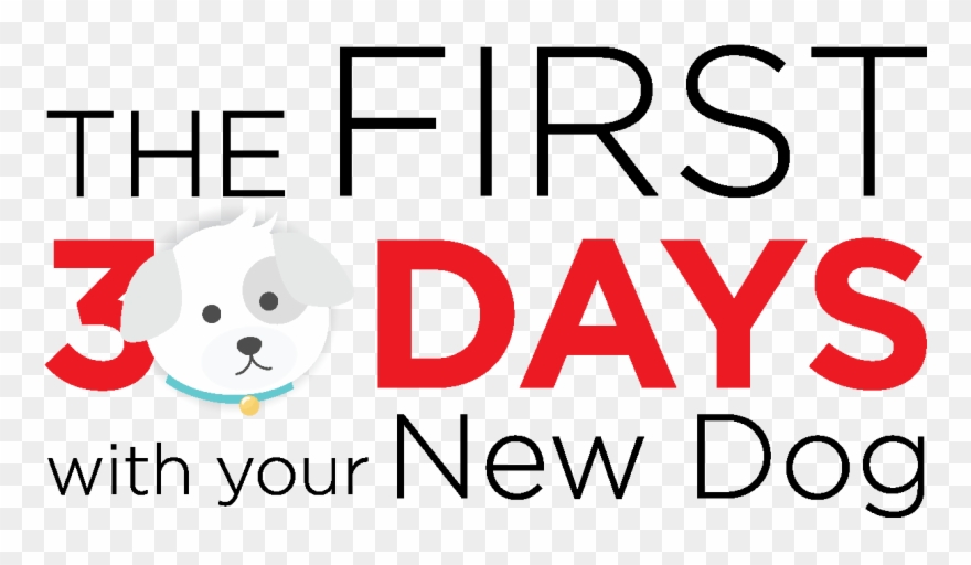 Share Your Top Tips In The Comments Below And Let's - Happy Birthday February Baby Clipart