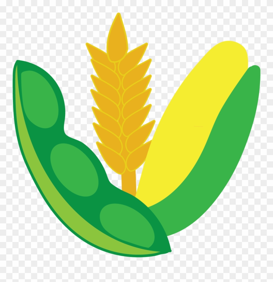 Products - Product Clipart