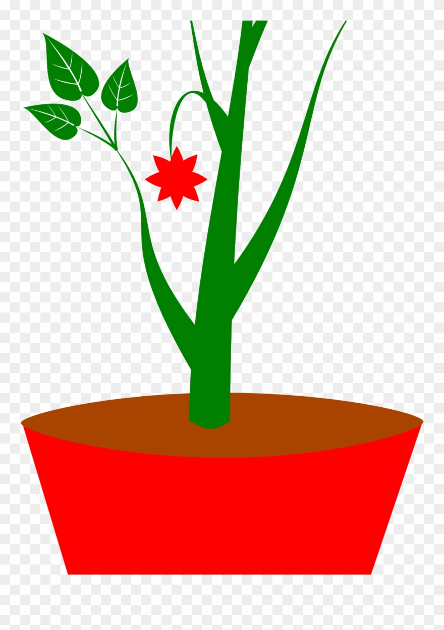 Potted Flower Pot Black And White Gsagri - Sometimes I Wet My Plants Sticker Clipart