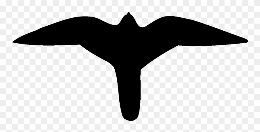 Peregrine Falcon American Kestrel And Merlin Acadia - Peregrine Falcon Templates Clipart