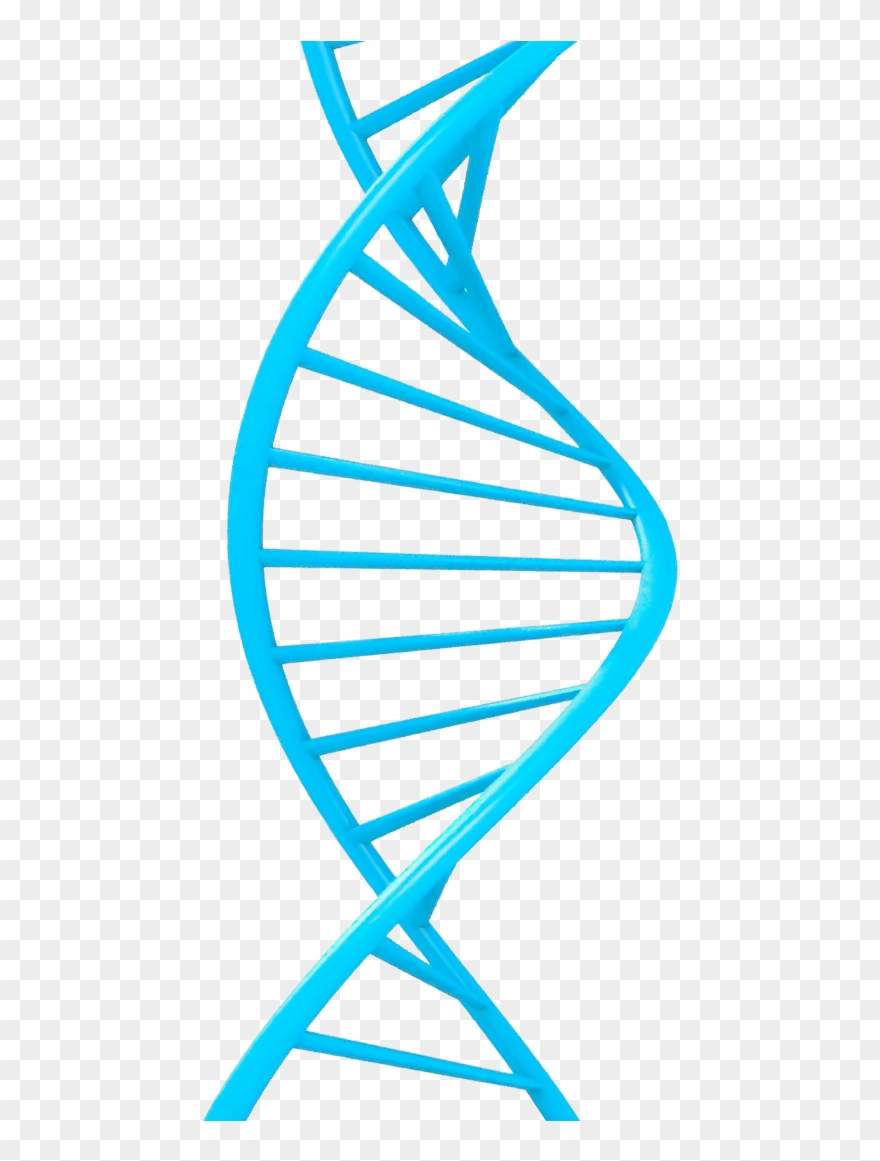 The Idea - Photograph Clipart