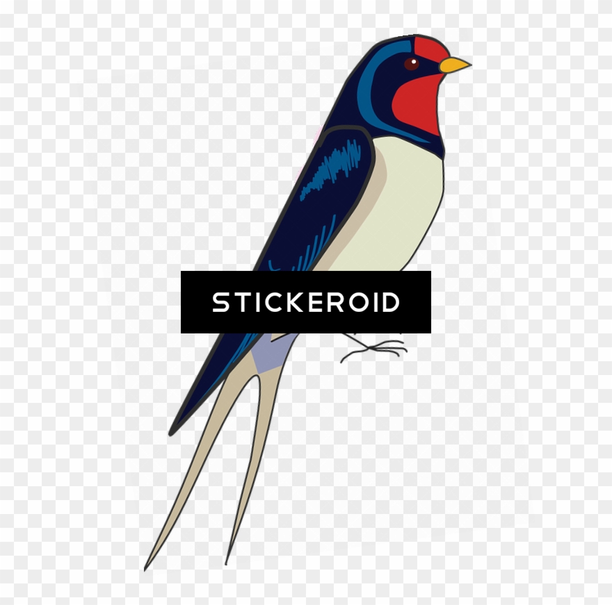Barn Swallow S Birds - European Swallow Clipart