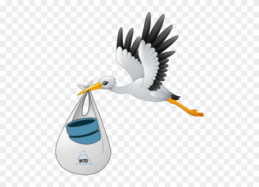 Full - White Stork Clipart