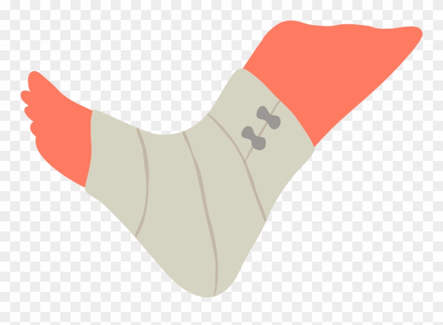 Picture Freeuse Stock Basics Anatomy And Physiology Clipart