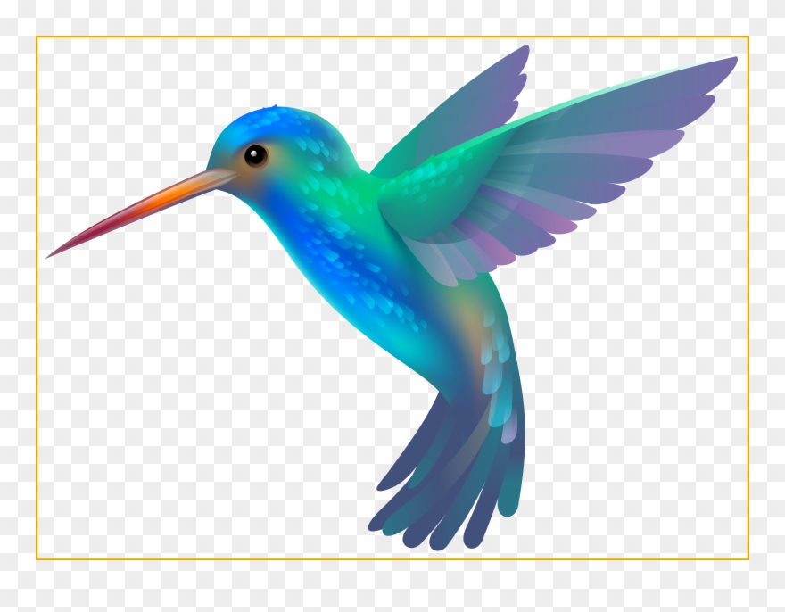 Transparent Background Hummingbird Clipart - Png Download